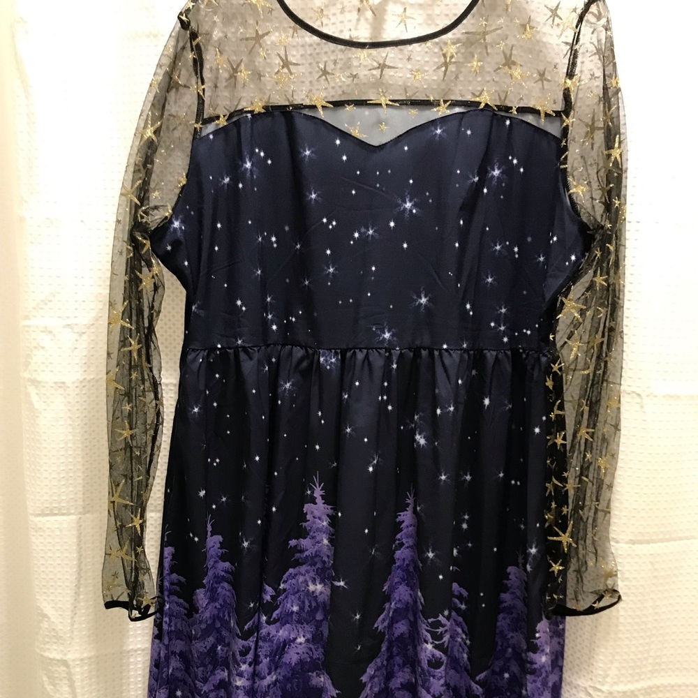 New! Never worn sheer top flared skirt party dress